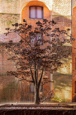 virtual office mail handling