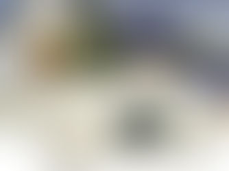 Harmonizing Energy: Acharya Deepak Gruvir Insights on Inverter Placement 