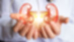 Kidney health