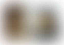 Photographe grossesse à domicile Valence