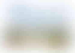 Couple mariage rétro van Drôme