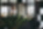 WEB-6047.jpg