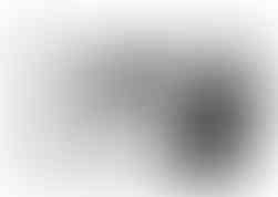 Cérémonie de mariage dans la Drôme provençale