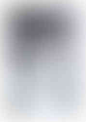 Mariée en hiver Drôme