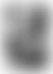 Photos bébé à domicile Isère