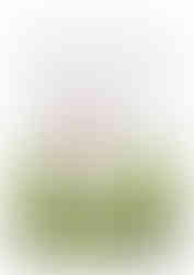 Séance photo portrait champêtre Drôme Montélier