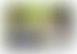 Photos de cocktail mariage à Montélimar