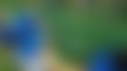 How to be resilient in a down economy: Reinvest in social impact