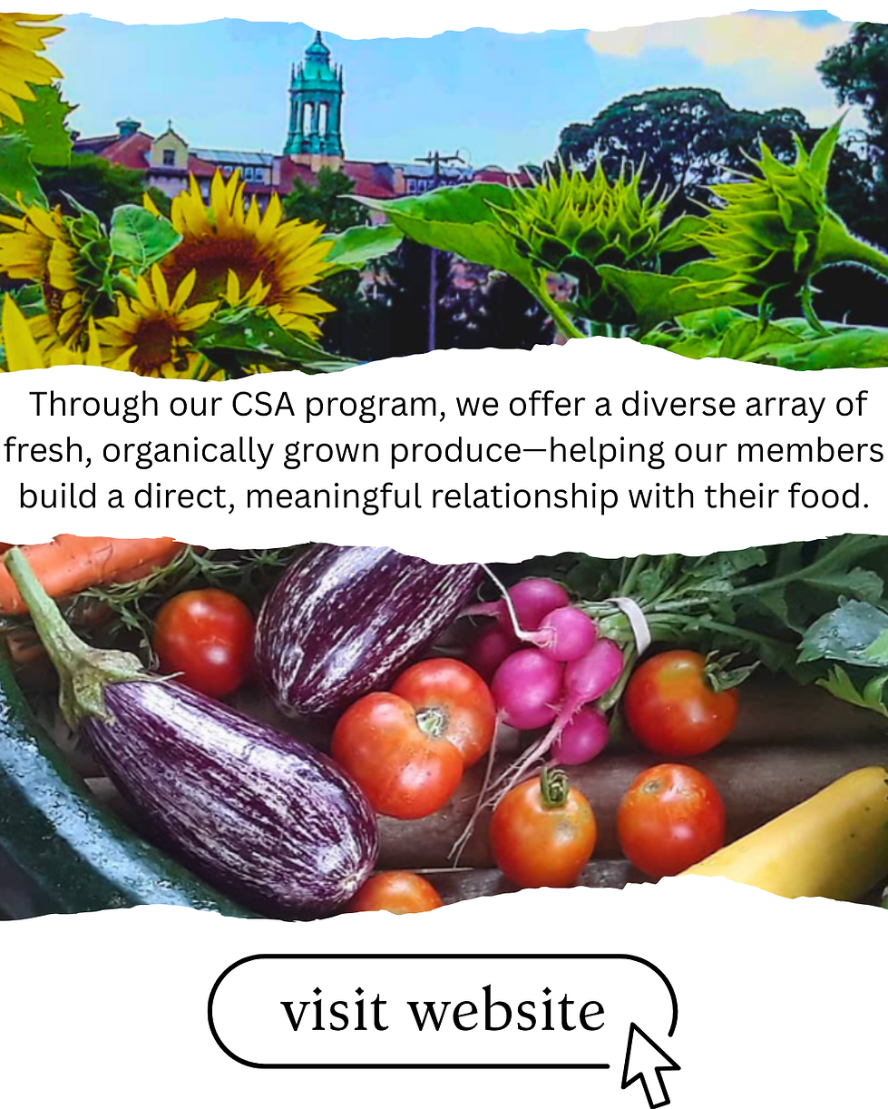 Through our CSA program, we offer a diverse array of fresh, organically grown produce—help