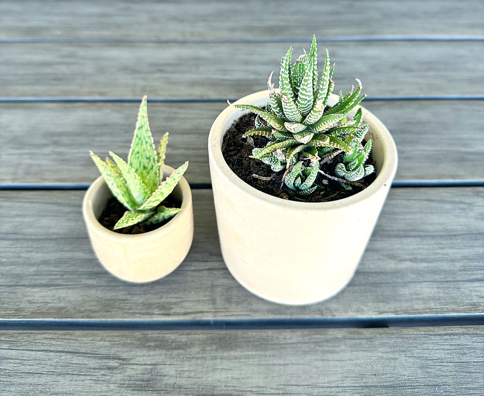 Upcycle Your Candle Jars: Creative Ideas for Reusing Candle Containers