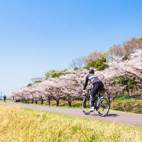top_spring_2022.jpeg