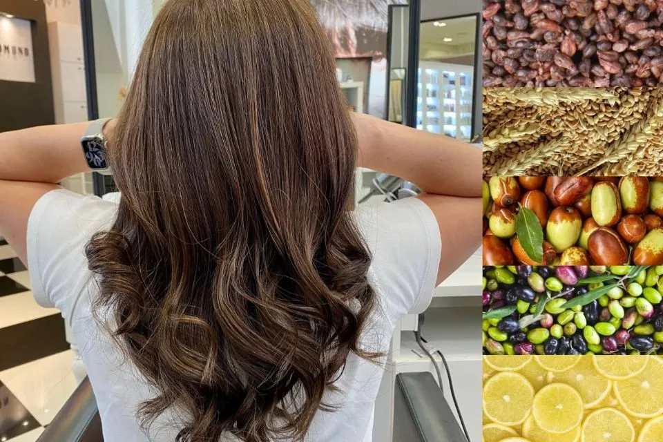 Organic hair colour salon