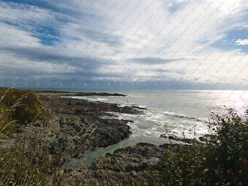 A Stream Going Out To Sea