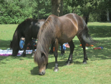 Spitchwick, Dartmoor: A Adrenaline Junky's Dream.