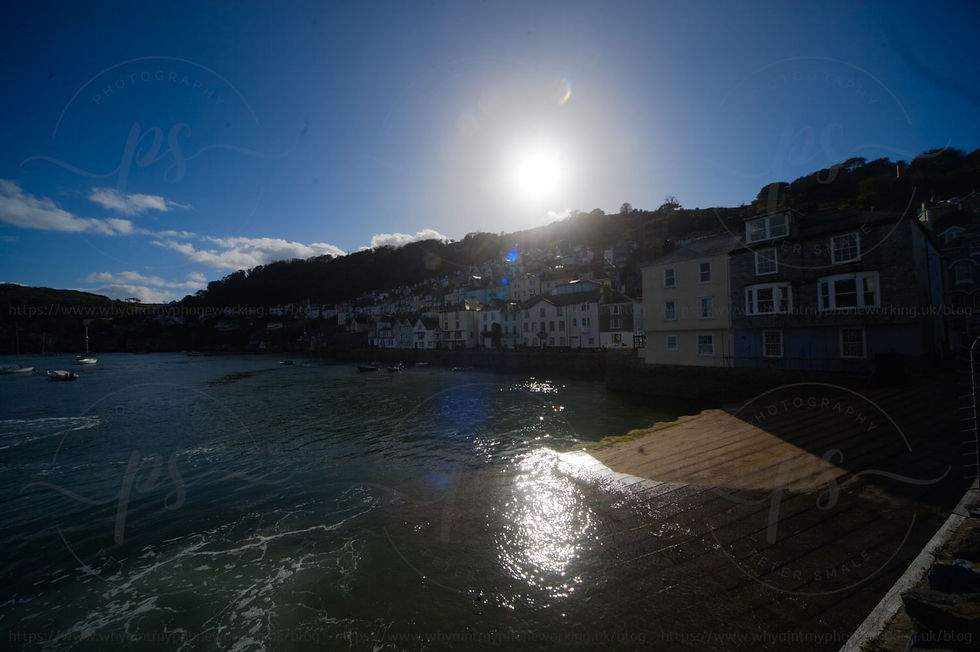 A view of Bayard's Cove & the ferry slipway with the sun behind