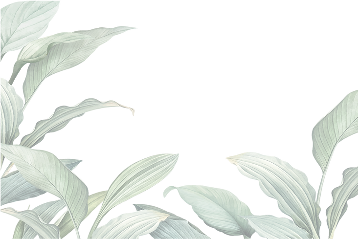 leaves_2x_edited.png