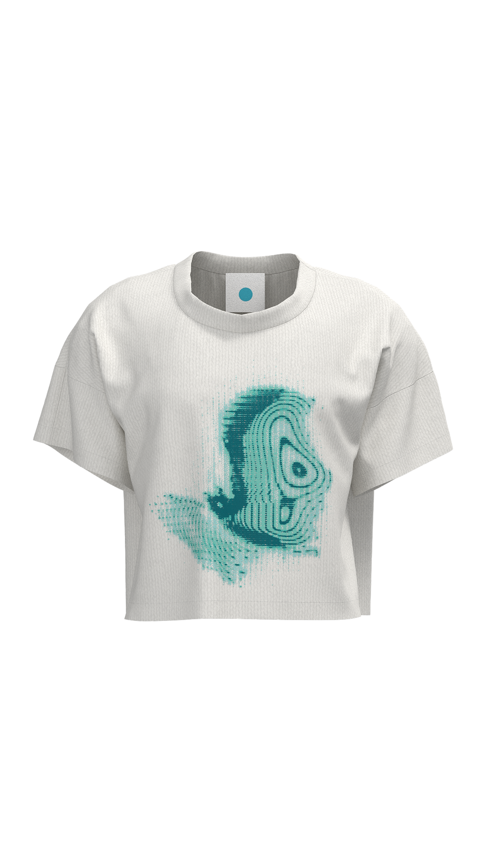 Miniatura: camiseta 'ericovalença'
