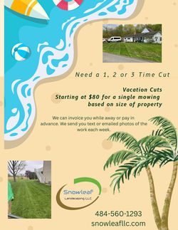 Vacation Cuts