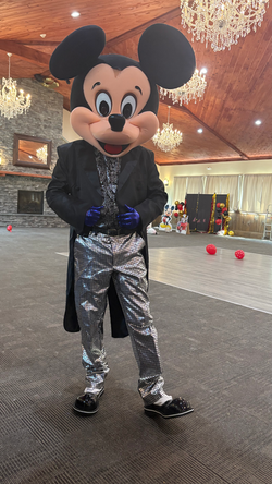 Mr Mouse (Option #1)