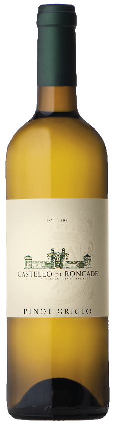 Pinot Grigio 2024 DOC Venezia