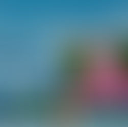 Beth O'Dwyer: Bridging Remote Sensing and AI for Urban Climate Adaptation