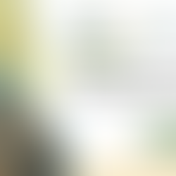 UrbanAIR Joins Forces with TerraDT: Tackling Climate Adaptation through Urban Impact Models