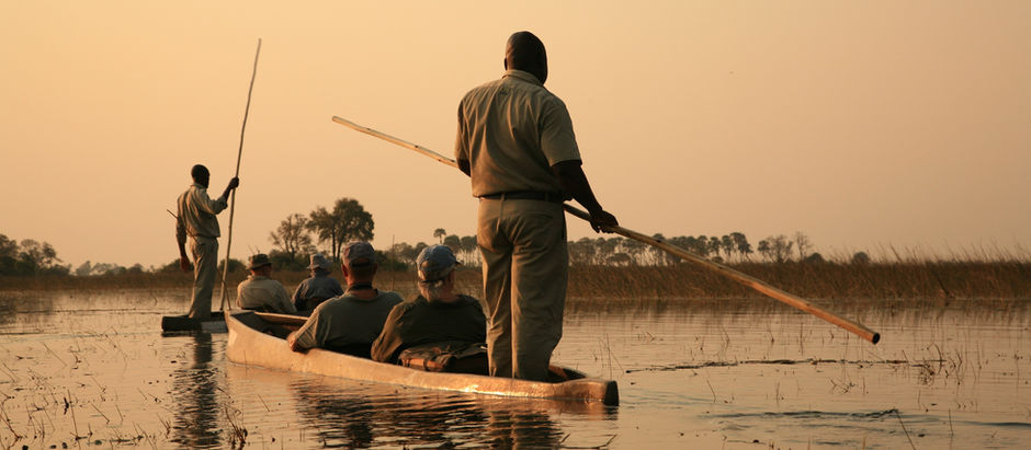 Dreaming of Botswana