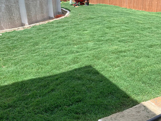 image11 (4).jpeg