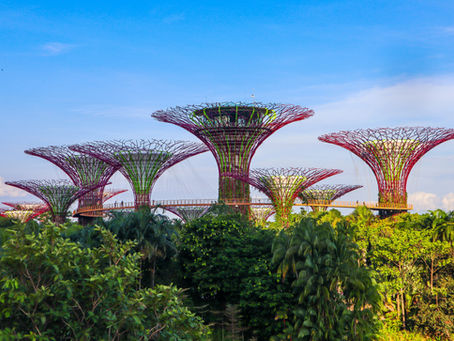 Pourquoi Singapour est une référence mondiale en architecture durable ?
