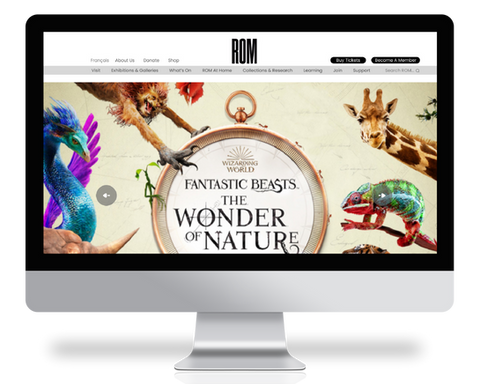 Rom Website image