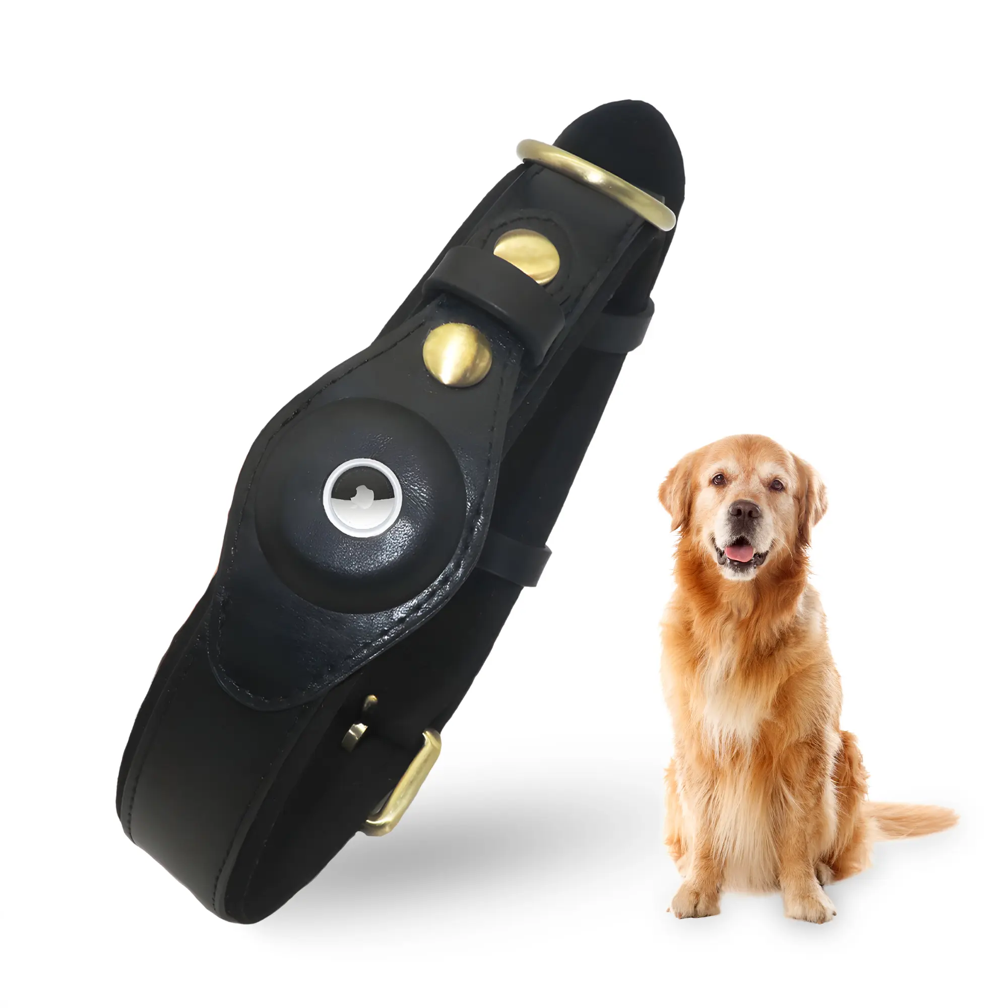 Bon Chien Leather Dog Collar with Airtag Holder - Waterproof & Adjustable