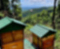 Honey bee hives on Tamborine Mountain, view of Gold Coast in background