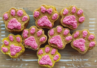 3 recetas para sorprender a nuestras mascotas en cuarentena