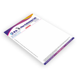 Multicolour Letterhead