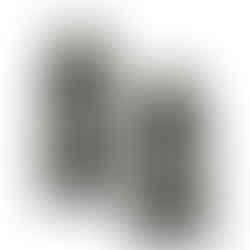 זוג משקולות אוניברסליות מתכווננות NÜOBELL® Green Black 32 KG (מקורי)