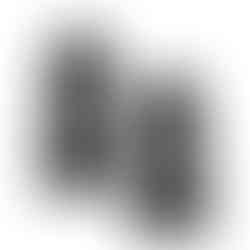 זוג משקולות אוניברסליות מתכווננות NÜOBELL® Classic 32 KG (מקורי)