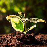 Design sans titre (2).png