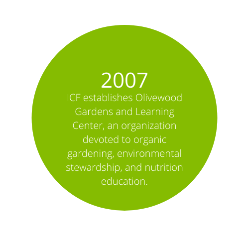 ICF Timeline (11)