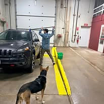 Jaz managing Steven making sure he never misses a spot!!