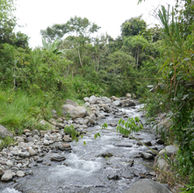 Equateur (part 2) - Mindo