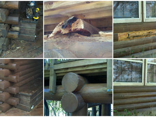 Blending a log home repair / Boneyard Method