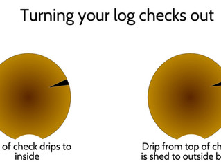 Turning your log checks out