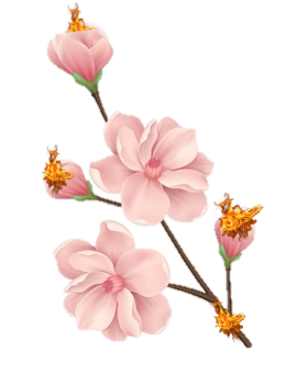 NEW R.png