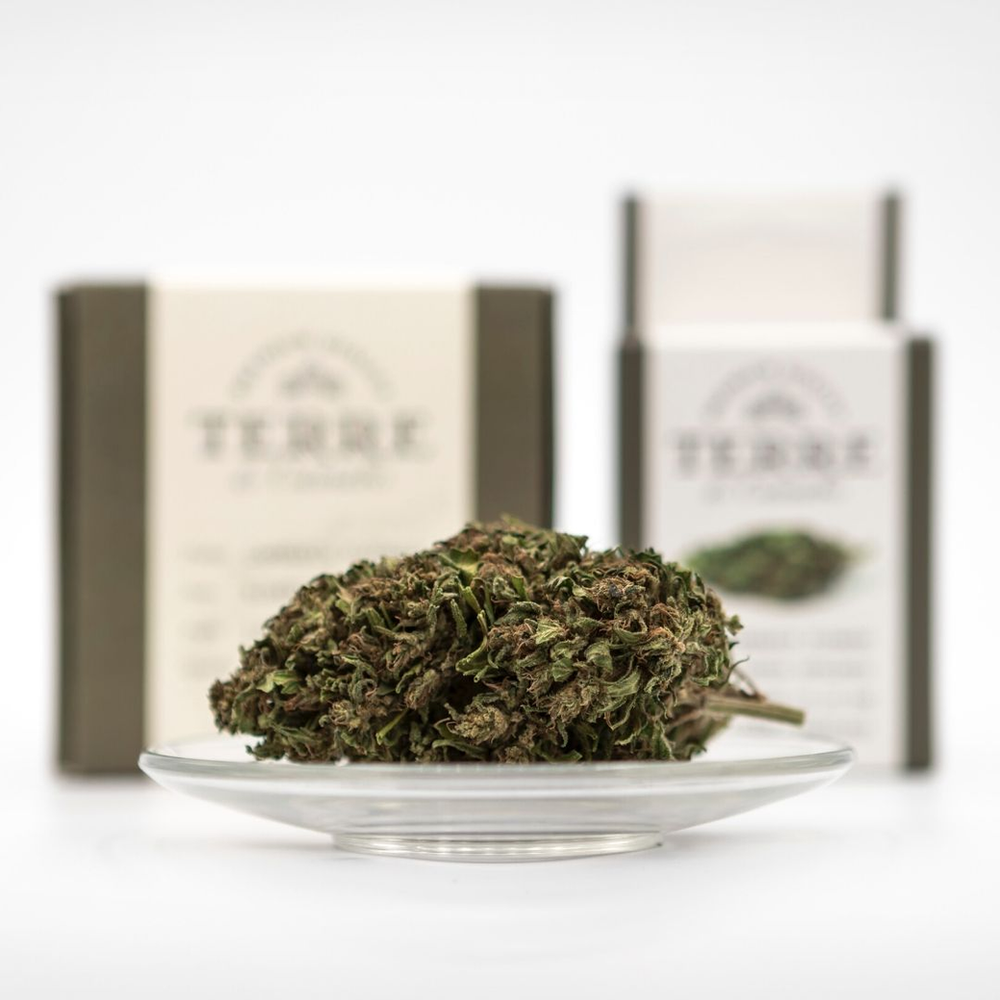 5 Do's for Cannabis Brands 2020