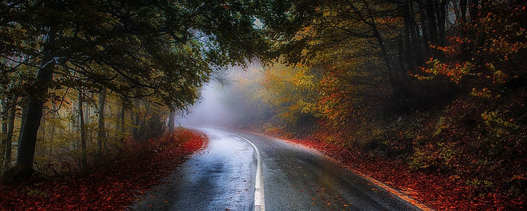 wallpaperflare.com_wallpaper - 2023-09-29T220459.738.jpg