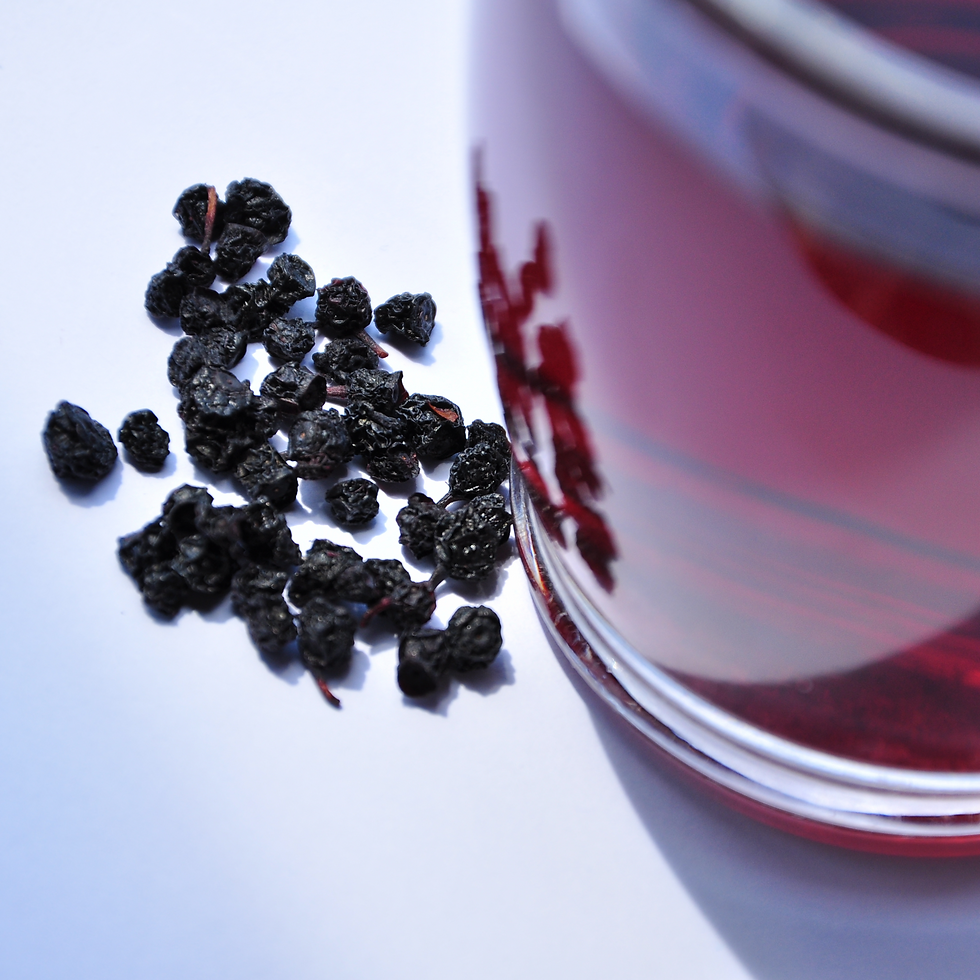 Getrocknete Heidelbeeren kochen helfen wenn der Hund durchfall hat