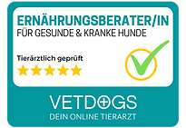 Tierärztlich geprüfte Ernährungsberatung für Hunde – Fachkompetenz für gesunde und kranke Tiere