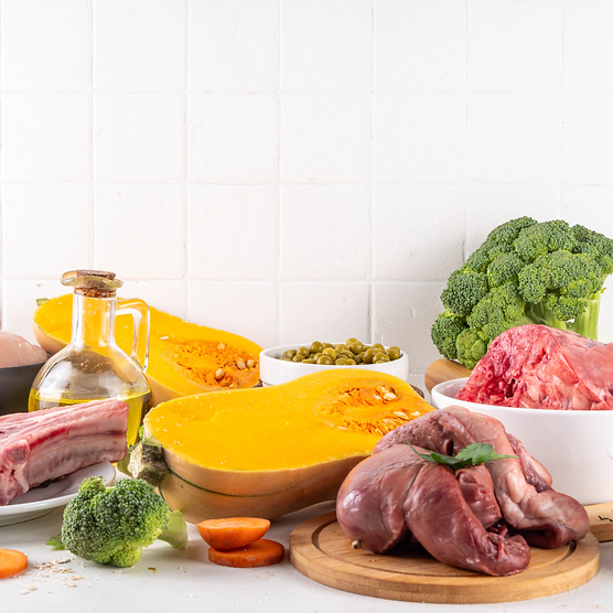 Rohes Gemüse und fleisch für Hunde | Hund barfen richtig | Barf-Beratung canivictus