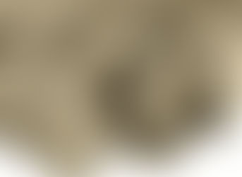 Proposta de trabalho para a encenação: