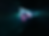 750.png